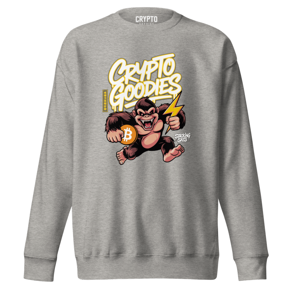 Crypto Goodies X Stacking Sats Sweatshirt - Unisex Premium Sweatshirt Carbon Grey Front 6909Fe3496Dd3
