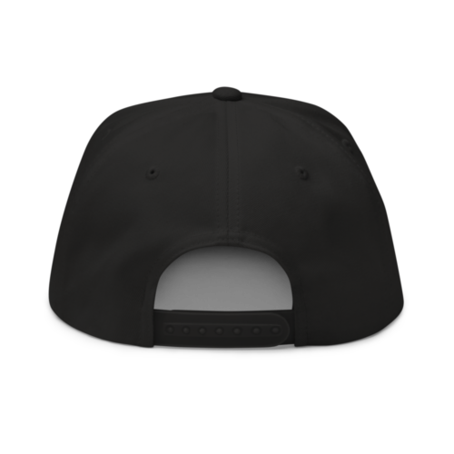 Monero Black Snapback Hat