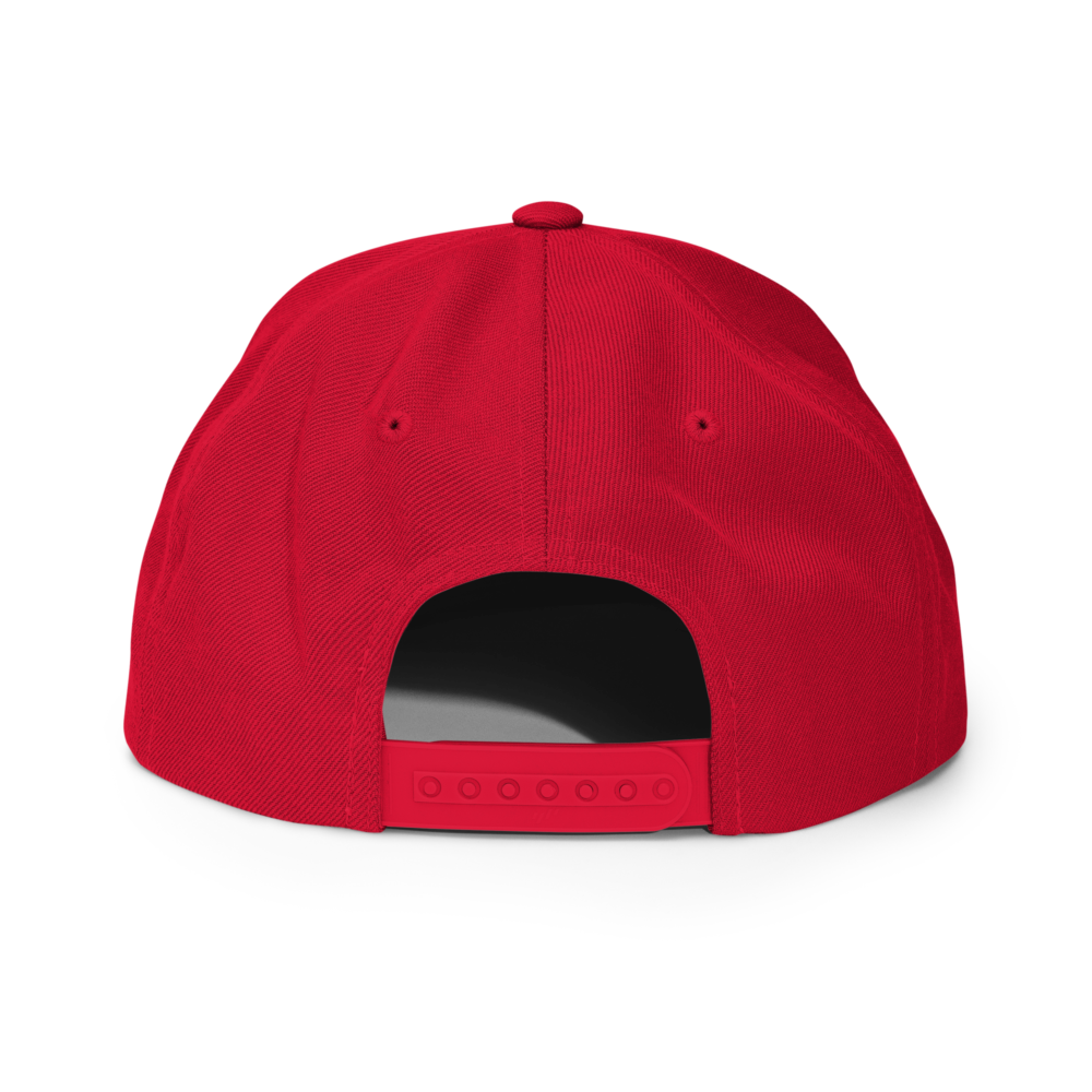 XRP Snapback Hat