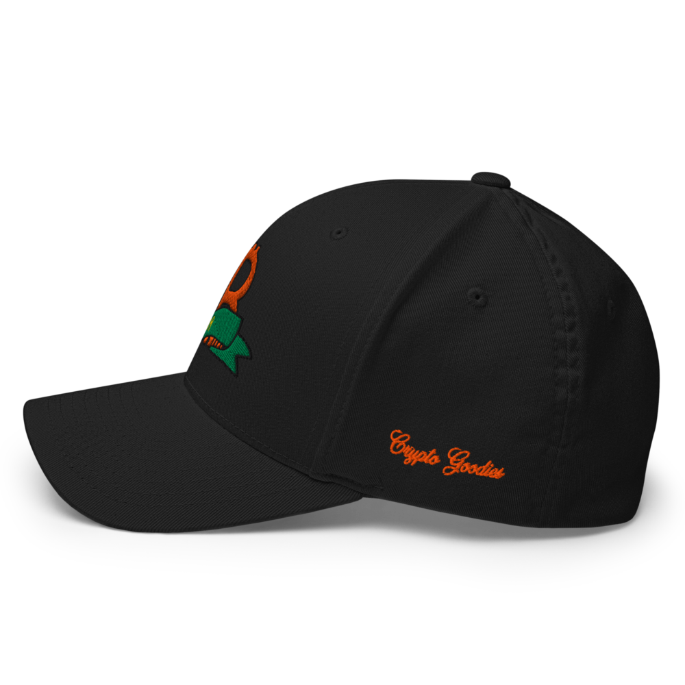 Bitcoin 2009 Closed-Back Cap