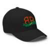 Bitcoin 2009 Closed-Back Cap