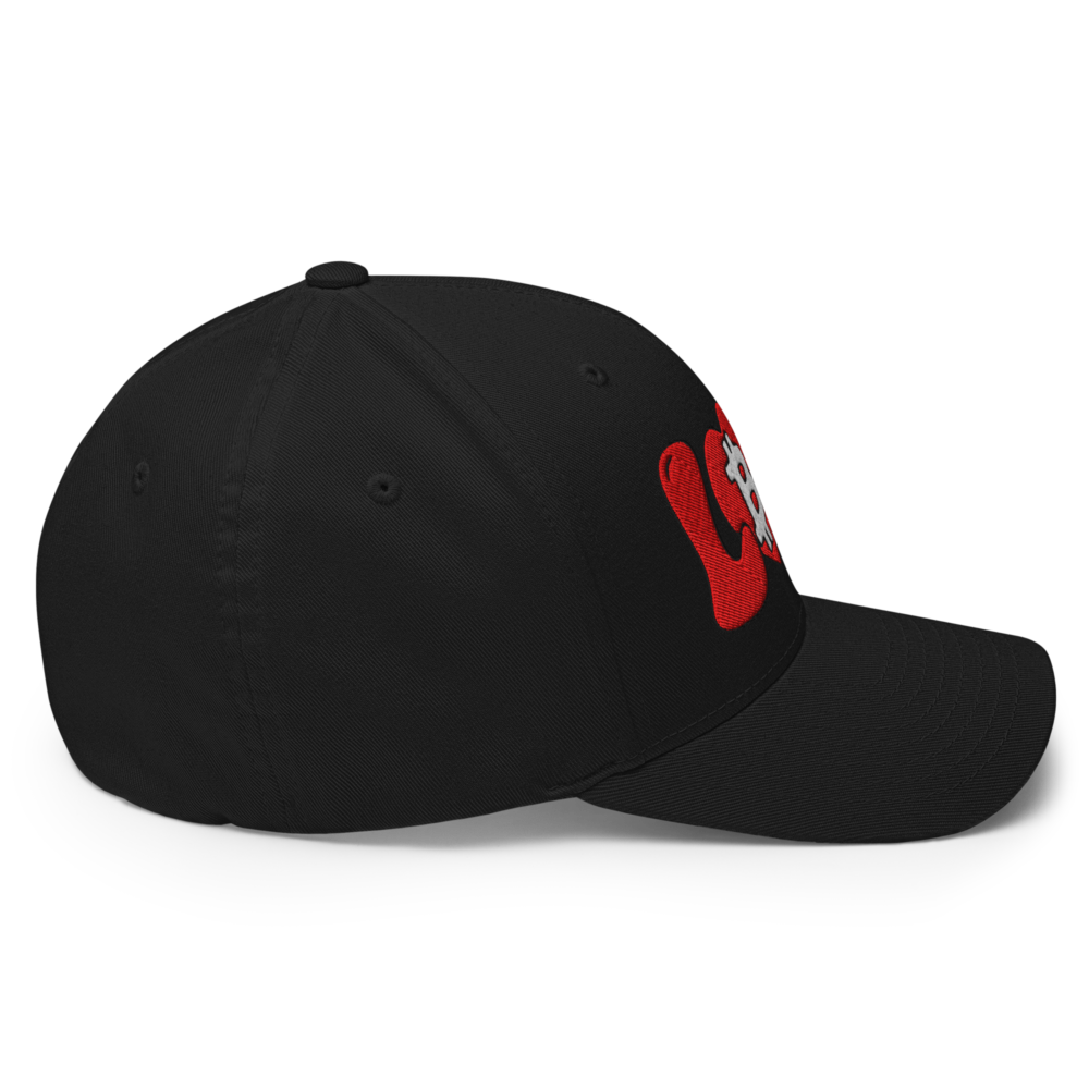Bitcoin Love Closed-Back Cap