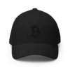 Bitcoin Stealth Edition Closed-Back Cap