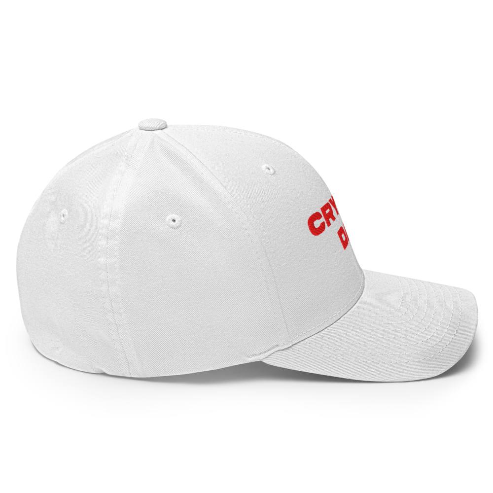 Crypto Dad Closed-Back Cap