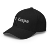 Kaspa Closed-Back Cap