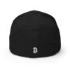 Need Money For Bitcoin Closed-Back Cap