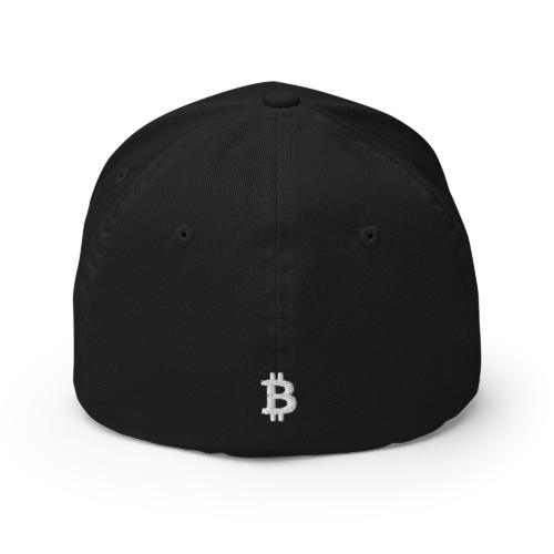 Need Money For Bitcoin Closed-Back Cap