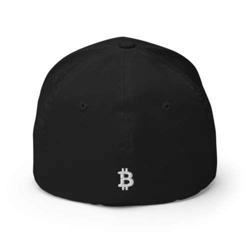 Need Money For Bitcoin Closed-Back Cap