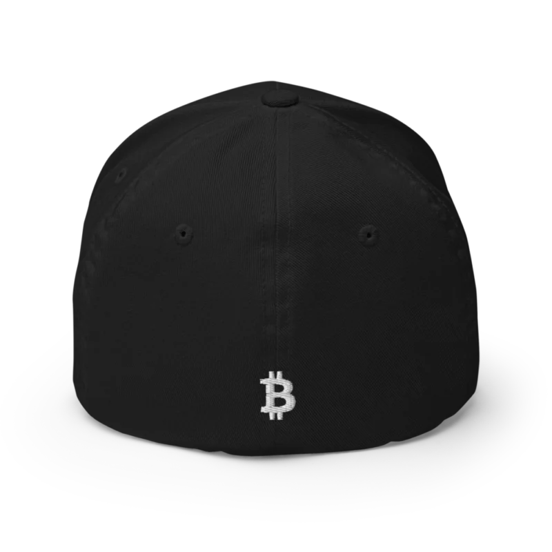 Need Money For Bitcoin Closed-Back Cap