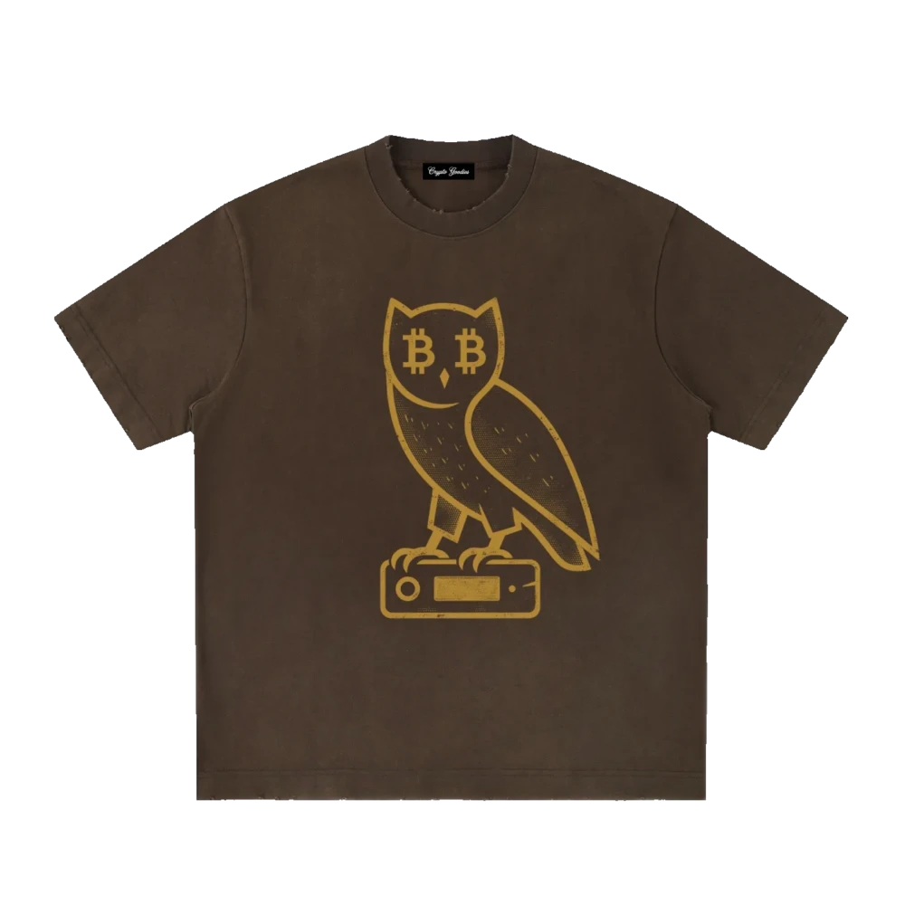 Bitcoin Owl Heavyweight Vintage T-Shirt