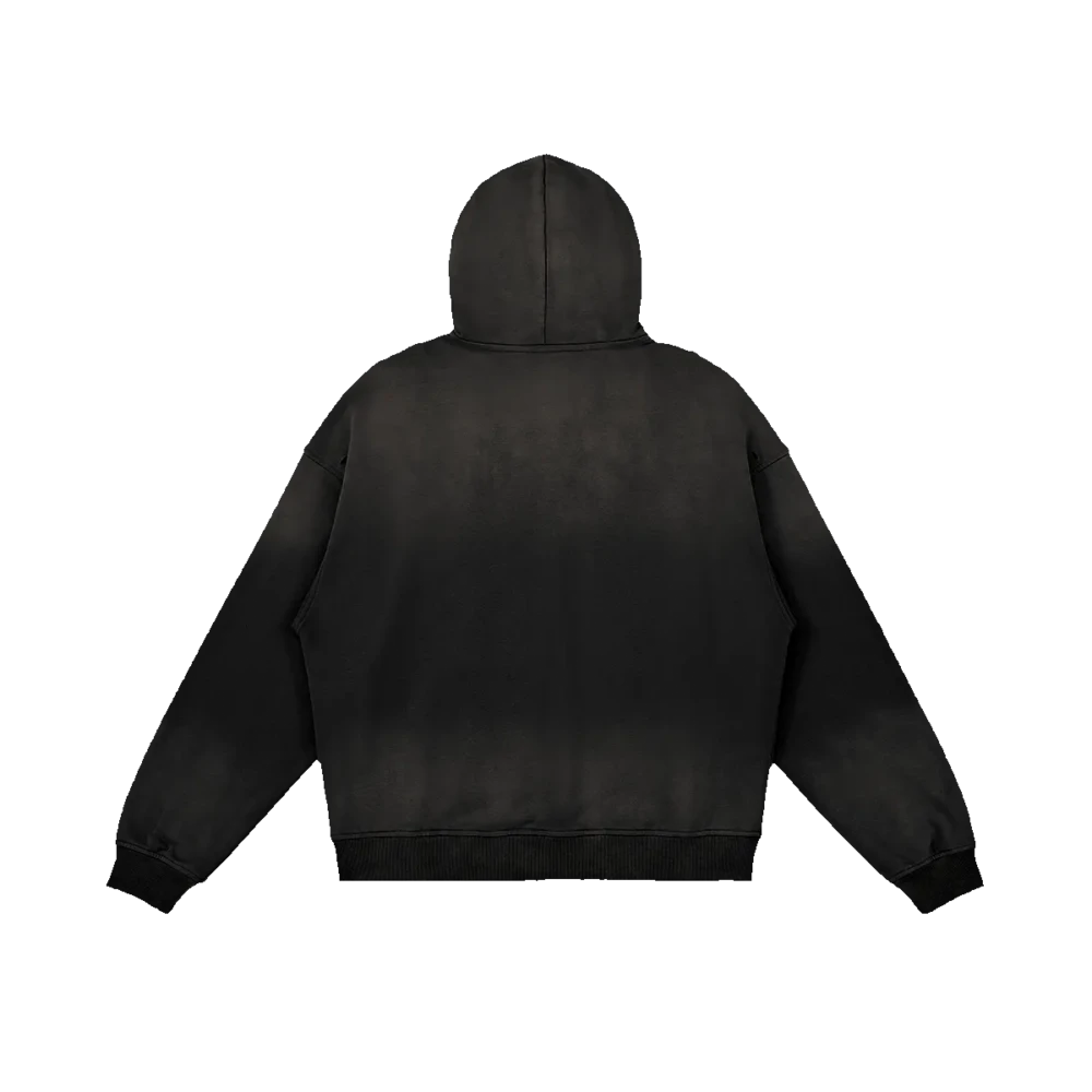 Bitcoin Paris Sun Faded Distressed Hoodie