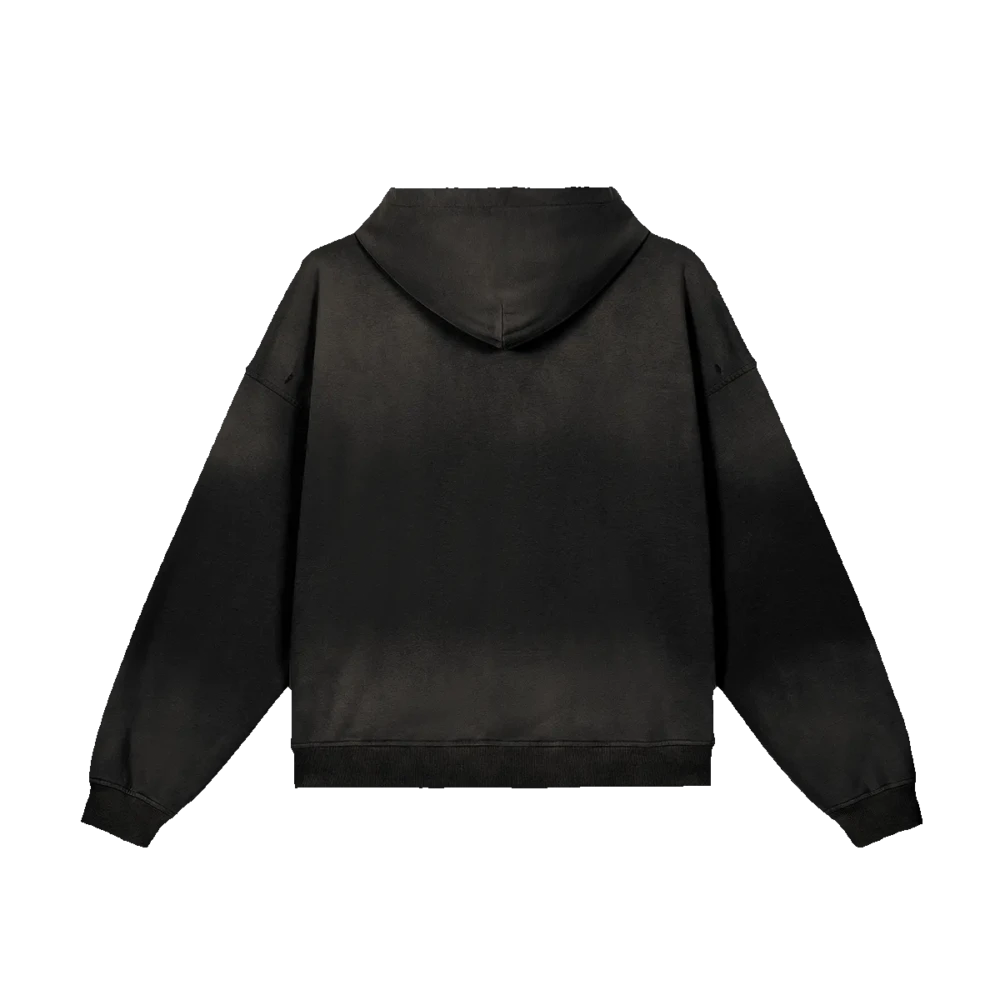Bitcoin Paris Sun Faded Distressed Hoodie