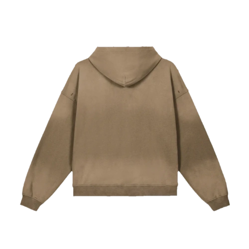Bitcoin Paris Sun Faded Distressed Hoodie