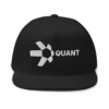 Quant Snapback Hat