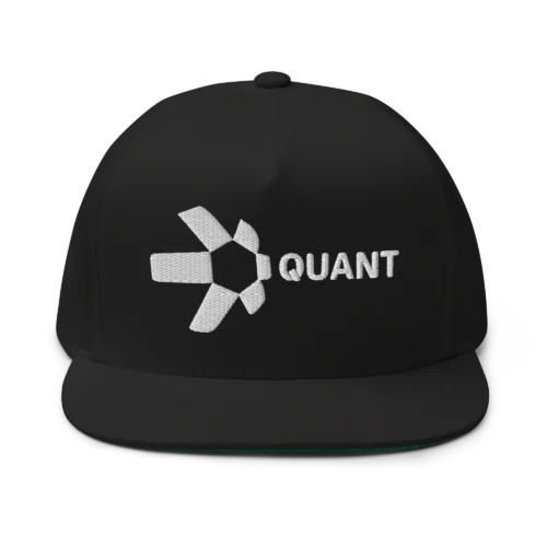Quant Snapback Hat