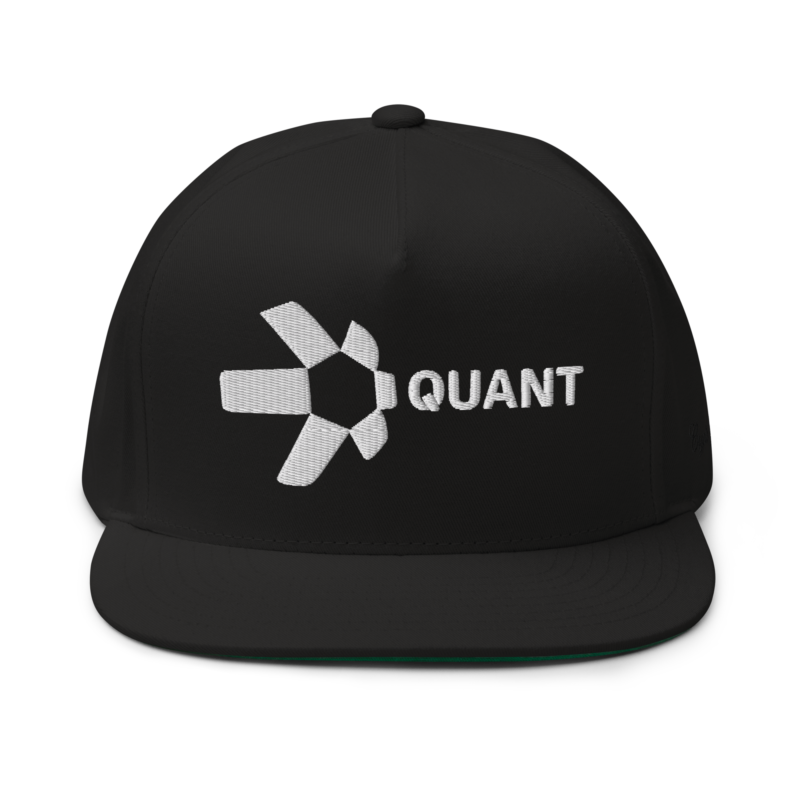 Quant Snapback Hat