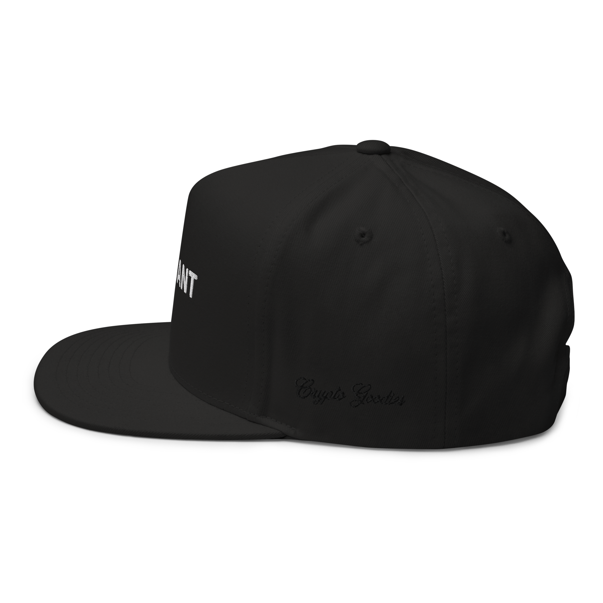 Quant Snapback Hat