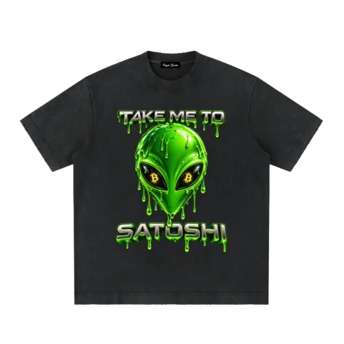 Take Me To Satoshi Heavyweight Vintage T-Shirt
