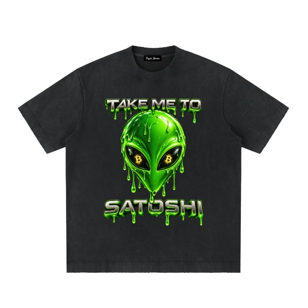 Take Me To Satoshi Heavyweight Vintage T-Shirt