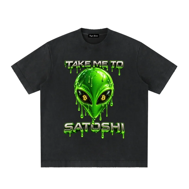 Take Me To Satoshi Heavyweight Vintage Washed Frayed T Shirt Crypto Goodies