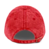 Stellar Vintage Dad Cap